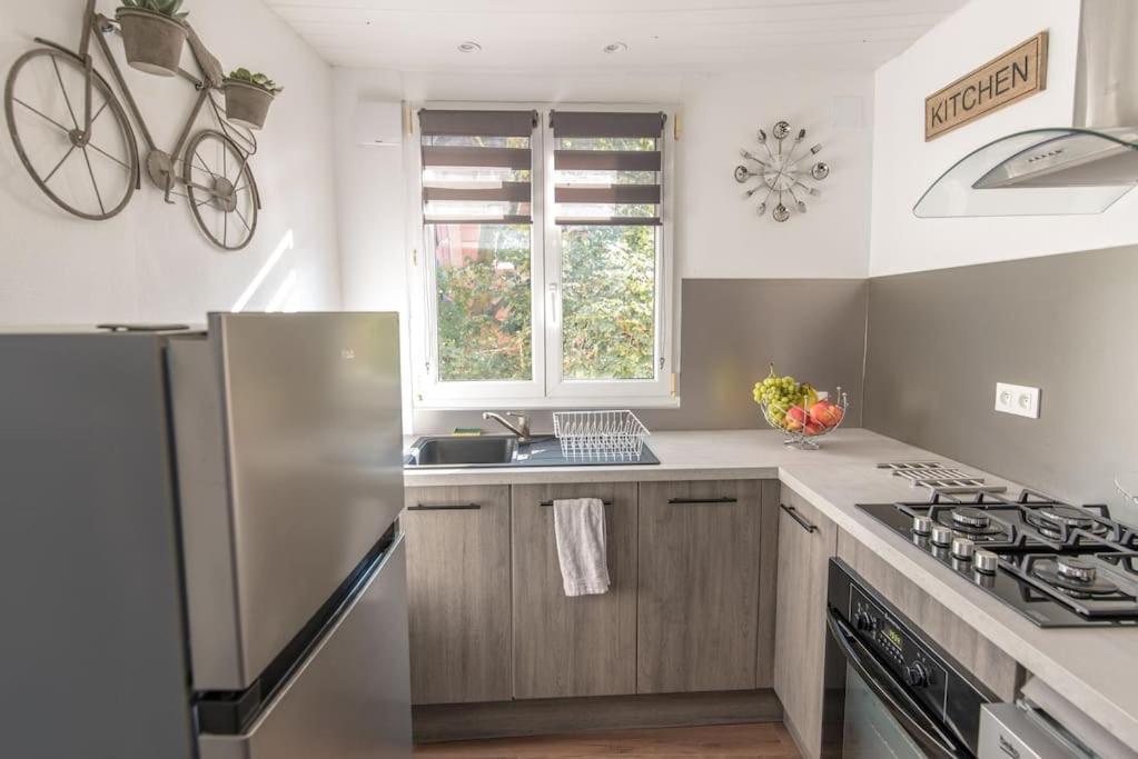 New L'Industr'Ill Au Coeur De L'Alsace Apartment Selestat Ngoại thất bức ảnh