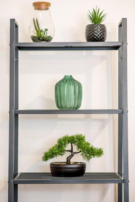 New L'Industr'Ill Au Coeur De L'Alsace Apartment Selestat Ngoại thất bức ảnh
