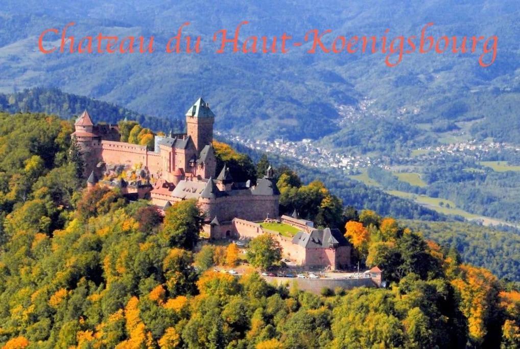 New L'Industr'Ill Au Coeur De L'Alsace Apartment Selestat Ngoại thất bức ảnh